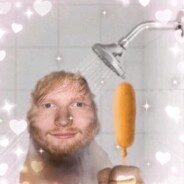 Сир Мимосир