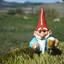 Gnomey