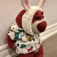 我是神里凌华的狗