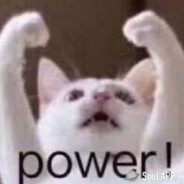 三号流水 张全蛋50-