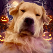 DAWGR -2k - steam id 76561198151802542