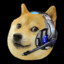 Doge Gaming