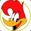 Woody Woodpecker