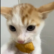 i have no feeling now