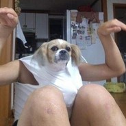 就TM你叫夏洛啊?