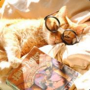 LOSEmyself---猫大人