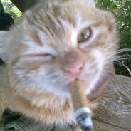 xcelcs - steam id 76561198170283681