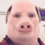 John Pork