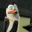 Sapp's avatar