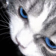 盗号狗你全家私募