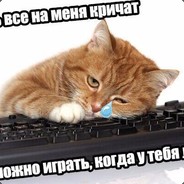 Кот Барсик