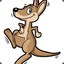 kangaroo-