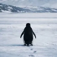 firf - steam id 76561198417100923