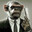 monkey