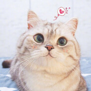 翻斗花园第一医疗兵胡