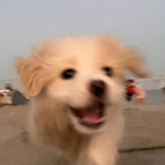 拳打安倍，脚踢WJ