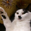 Kittler