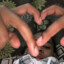 xxxanbeloved