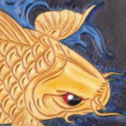 Sonic Koi