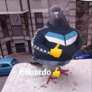 何惧何谓浪费年岁