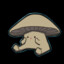 shiitake