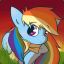 zRainbowDash