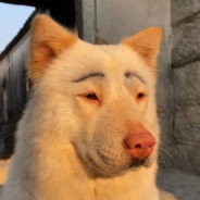 手感好能杀一个