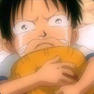 常州养马第一人