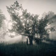 我管你这的那的