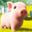 会画友奈的猪猪
