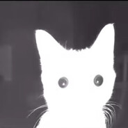 veshalka avatar