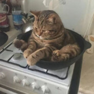 笨蛋也会掉眼泪