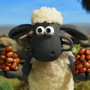 是小羊肖恩的粉丝晕晕