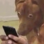 Johnny_Suspicious