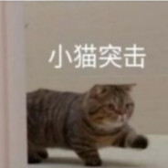 肥肥猫