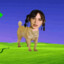 Top Dog