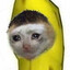 i trust u bro