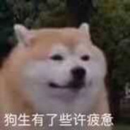 热心市民冯某人