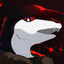 corvus