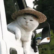 你哪知潦倒为你