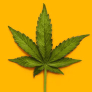 high on my own supply