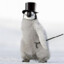 Mr.Penguin #FixTF2