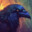 ✪Raven