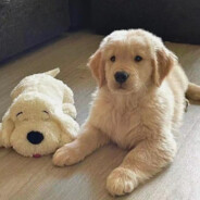 三年二班季博昌