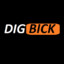 Mr. Dig Bick