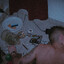 motj-