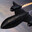 BLACK BIRD