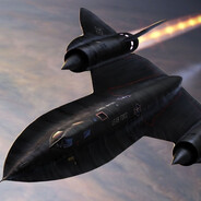 BLACK BIRD