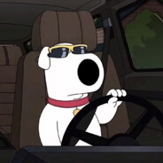 不会用*****的超级菜鸟