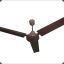 Big fan